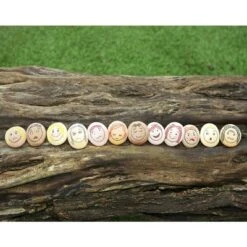 FUNKO Shop -FUNKO Shop GUEST 07e5cfab 6bed 4107 9182 47af81d08a13