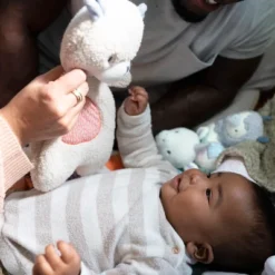 Ingenuity Premium Soft Plush Soothing Bean Bag Lovey - Nate The Teddy Bear -FUNKO Shop GUEST 0ebfc804 b1f9 48c5 8beb af73abaf6a76