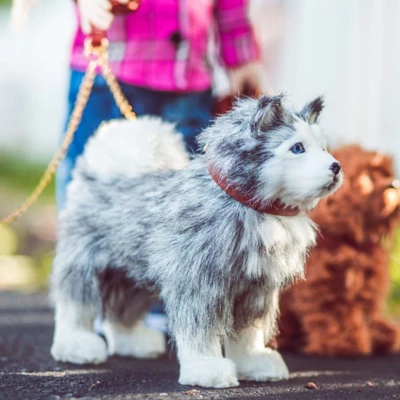 The Queen's Treasures 18 In Doll Husky Puppy Dog With Leash And Collar 2 The Queen's Treasures 18 In Doll Husky Puppy Dog With Leash And Collar - Image 2