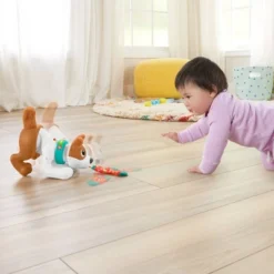 Fisher Price Fisher-Price 1-2-3 Crawl With Me Puppy