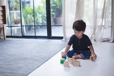 Plantoys| Geo Matching Blocks 3 Plantoys| Geo Matching Blocks - Image 3