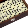 Hathaway Premium Domino Game Set With Wooden Carry Case