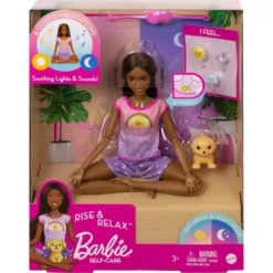 Barbie Self-Care Rise & Relax Doll With Gray Puppy -FUNKO Shop GUEST 6aaee6fb da55 416f ae41 12243846843d