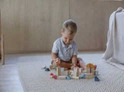 Plantoys| Creative Blocks - Orchard Series -FUNKO Shop GUEST 74db690a 3f4b 4759 a4f1 f519db1a8a2f