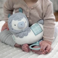 Ingenuity Cria Musical Toy