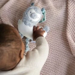 Ingenuity Cria Musical Toy -FUNKO Shop GUEST 974a8c20 81a2 4e12 b466 fb491081f3df