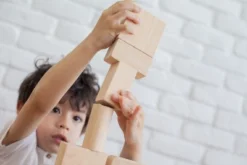 Plantoys| 50 Unit Blocks -FUNKO Shop GUEST 9aa2bb76 5e82 4d12 b16b 8df4bfd3e635