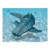 Jupiter Creations, Inc RoboWhaleShark 2.4G Remote Control Water Toy