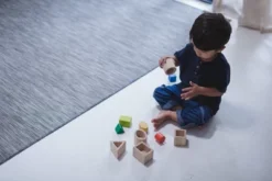 Plantoys| Geo Matching Blocks 9 Plantoys| Geo Matching Blocks -FUNKO Shop GUEST c416f96f bf8b 47ac aed2 294929b17d84