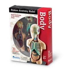 Learning Resources Human Body Anatomy Model, Ages 8+ 9 Learning Resources Human Body Anatomy Model, Ages 8+ -FUNKO Shop GUEST c4d2a222 f26e 4ba5 9369 40fb02375a32
