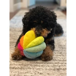 HABA Rainbow Fabric Ball - Machine Washable With 8 Different Sensory Effects -FUNKO Shop GUEST ddd49ce7 c2d3 44e8 8bb8 26b552e2f42a