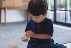 Plantoys| Geo Matching Blocks 10 Plantoys| Geo Matching Blocks -FUNKO Shop GUEST e79478cd f3a4 43da a022 6ef6eac6249a