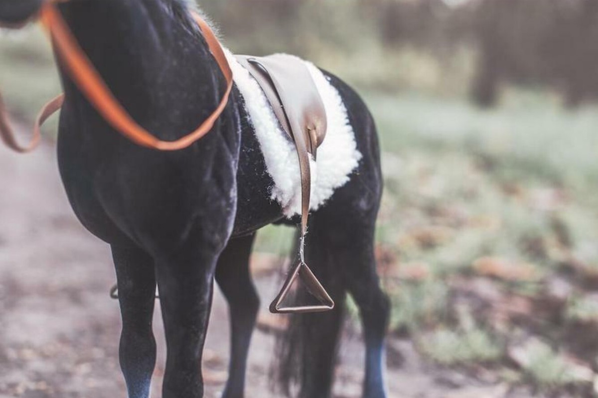 FUNKO Shop -FUNKO Shop s l1200 6